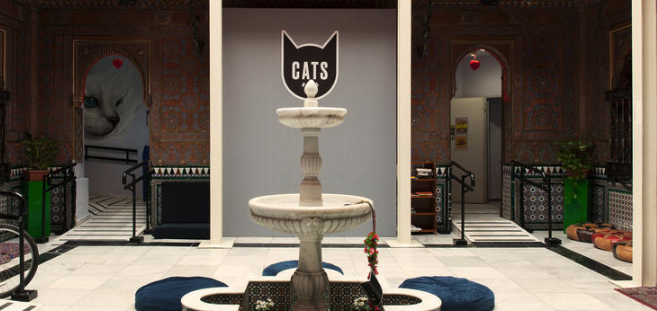 CATS HOSTELS