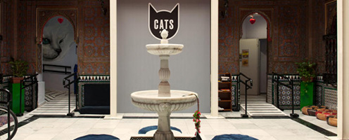 CATS HOSTEL